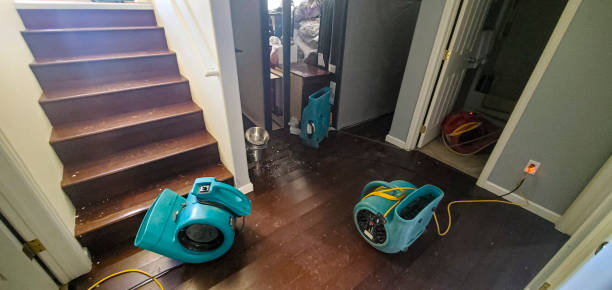 Best Commercial water damage restoration  in Spencerport, NY