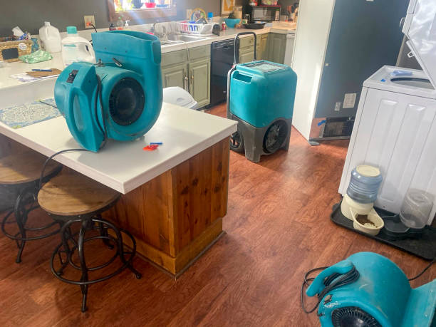 Water damage restoration insurance claims in Spencerport, NY