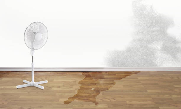 Best Ceiling water damage repair  in Spencerport, NY