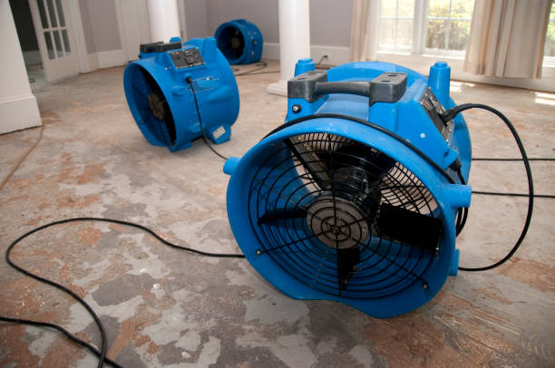 Best Water damage restoration company  in Spencerport, NY