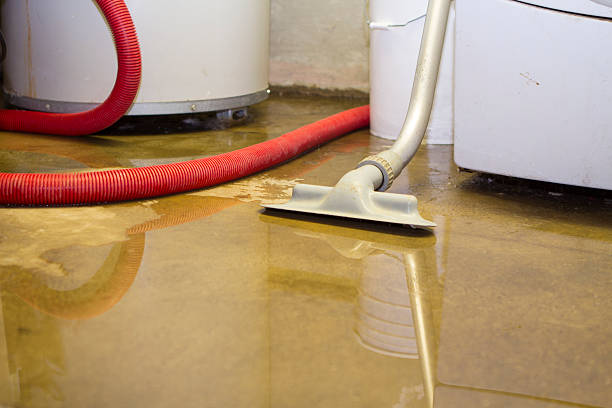 Best Residential water damage restoration  in Spencerport, NY