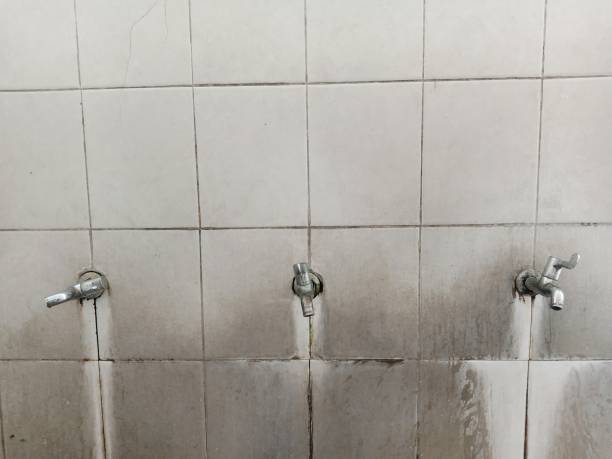 Best Carpet water damage restoration  in Spencerport, NY