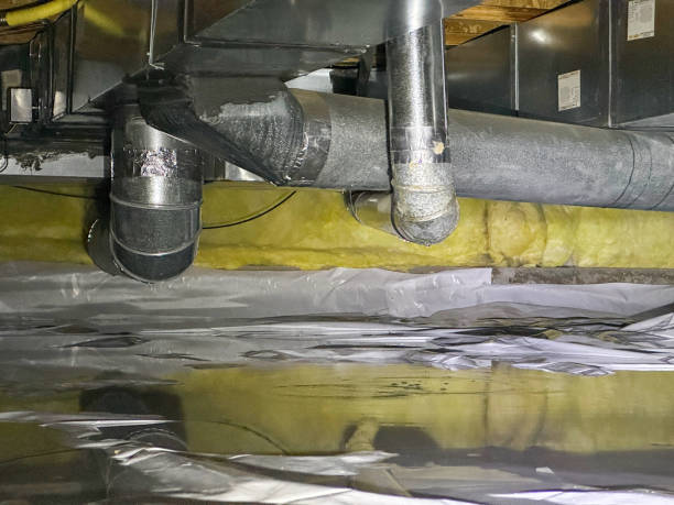 Best Water damage restoration near me  in Spencerport, NY