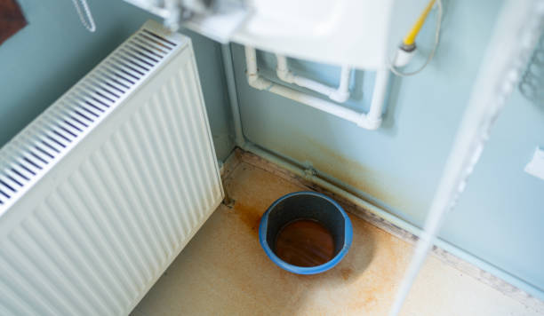 Best Flood damage cleanup  in Spencerport, NY