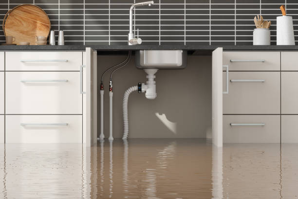 Best Fire Damage Restoration  in Spencerport, NY