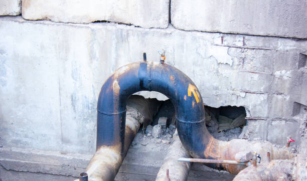 Best Mold removal after water damage  in Spencerport, NY