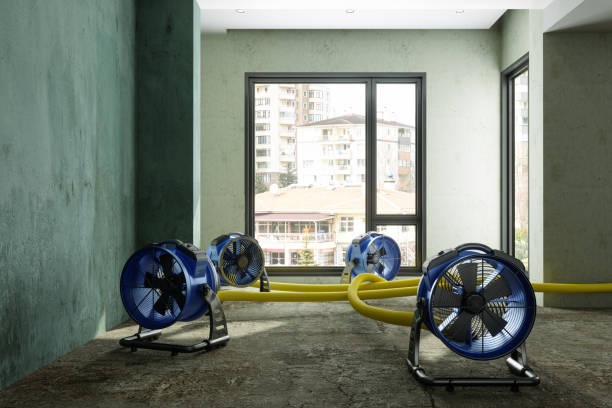 Best Flood restoration services  in Spencerport, NY