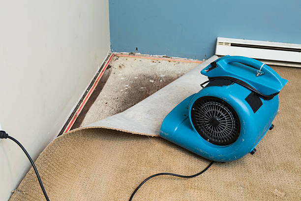 Best Local water damage restoration  in Spencerport, NY
